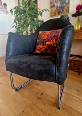 LEREN FAUTEUILS TOPFORM DESIGN (set van twee)