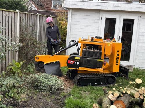 Boomstronk of wortels in uw tuin verwijderen?