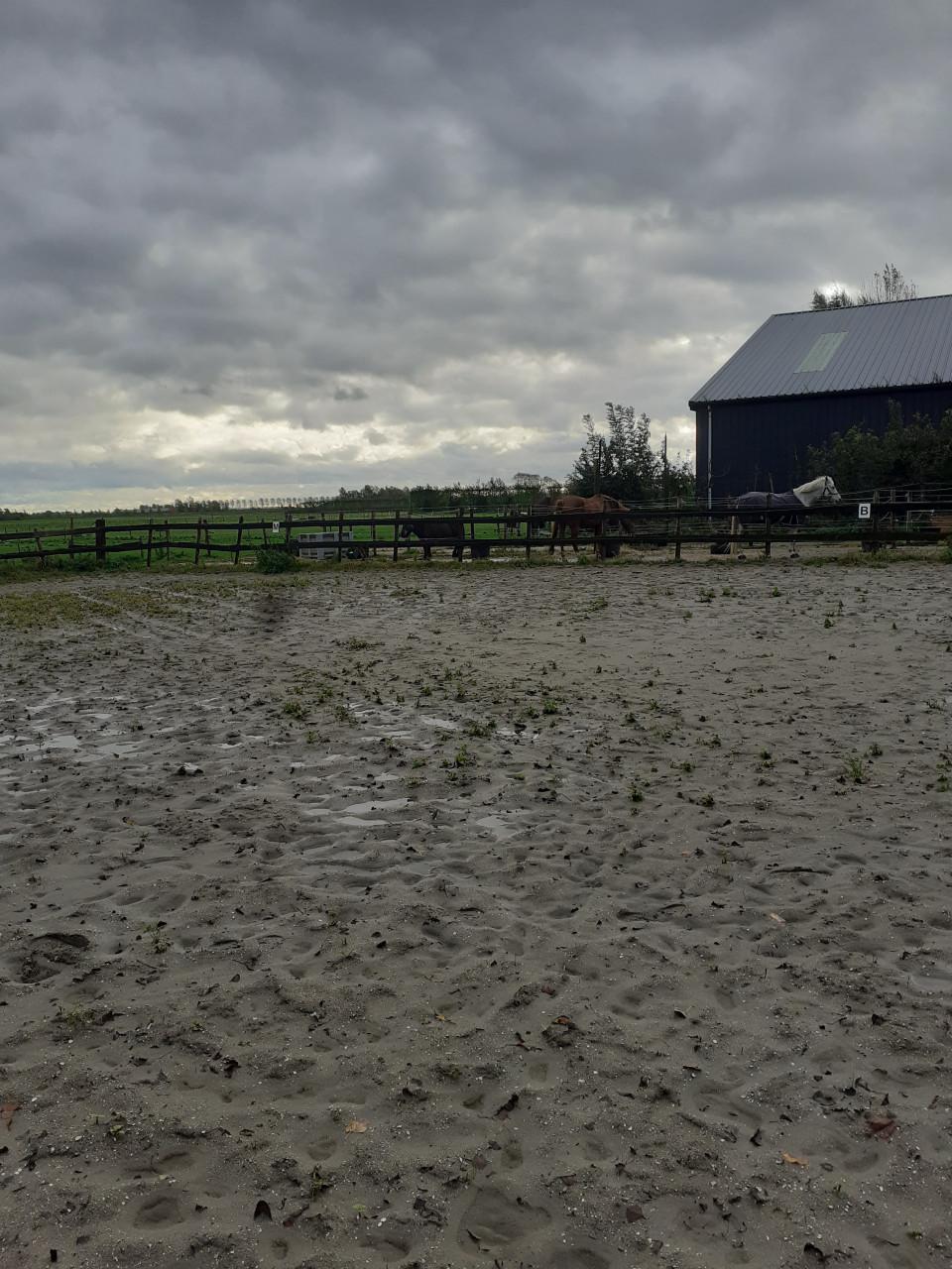 Plaats voor een shetlander