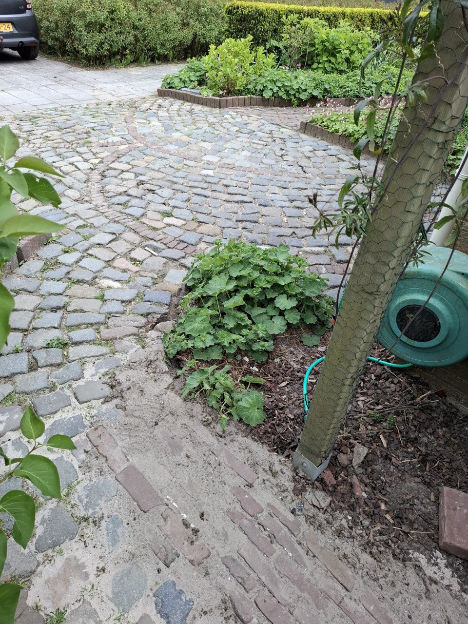 Kinderkopjes