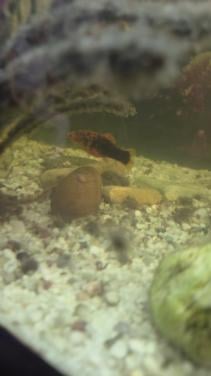 Aquarium