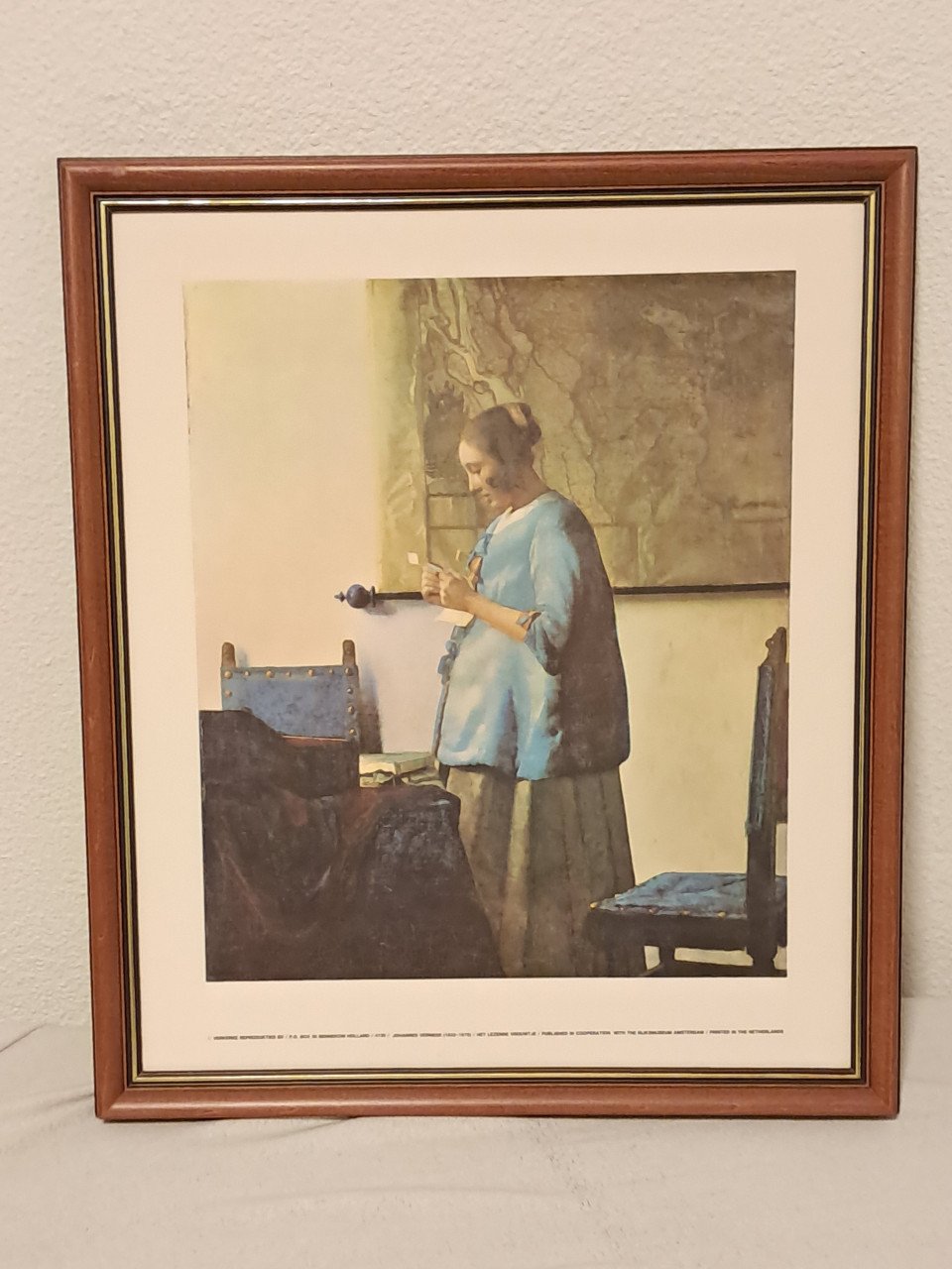 Meisje in blauw die brief leest