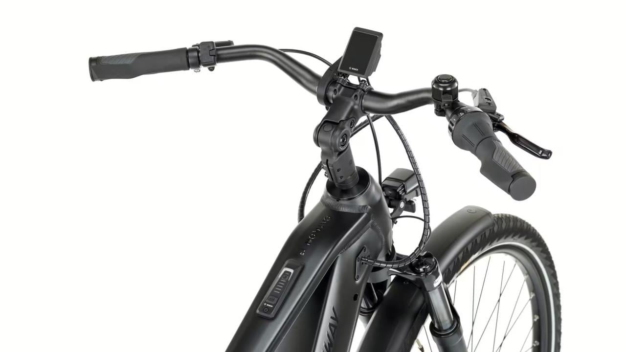 E bike Bosch CX Performance smart 625Wh