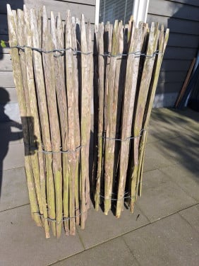 Schapenhek kastanje