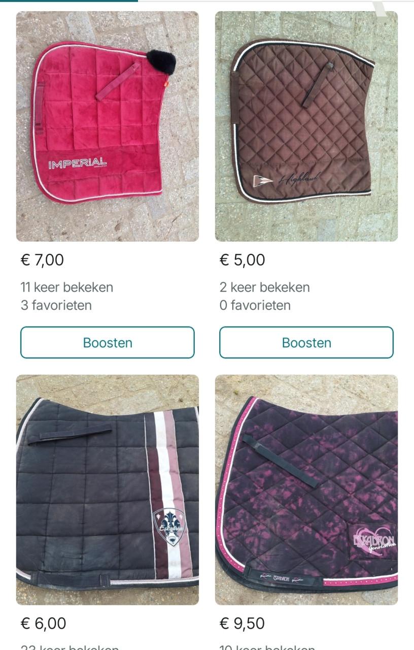Paardenspul