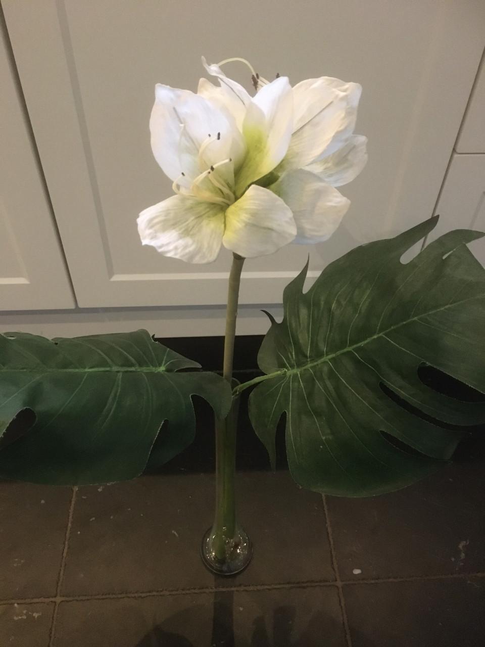Mooie zijden amaryllis, inclusief glazen vaas. Vaas is 40 cm hoog.