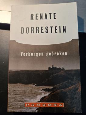 Roman Verborgen gebreken geschreven door Renate Dorrestein 11e druk 1999 .