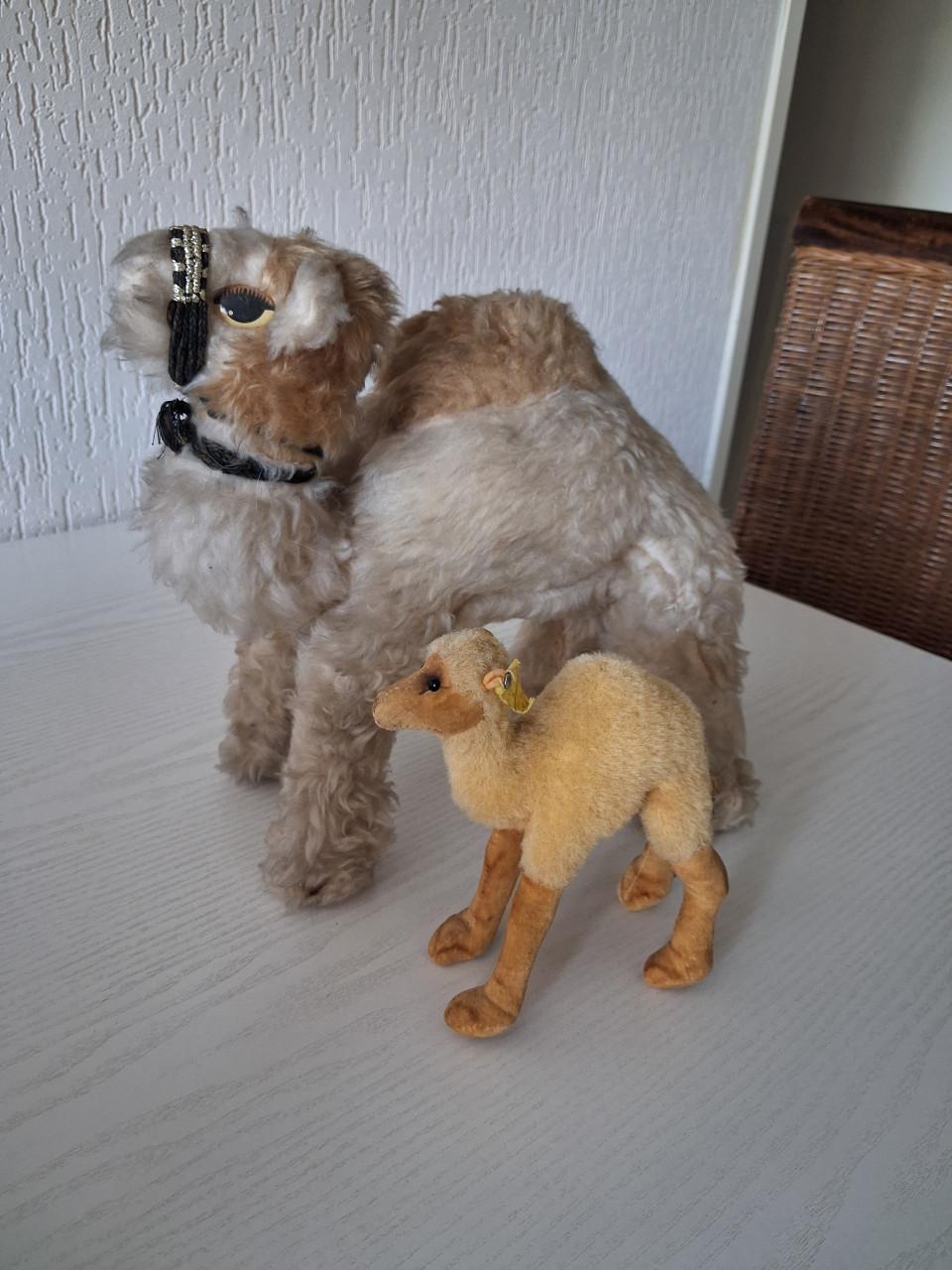 Vintage Mohair en Steiff dromedarissen