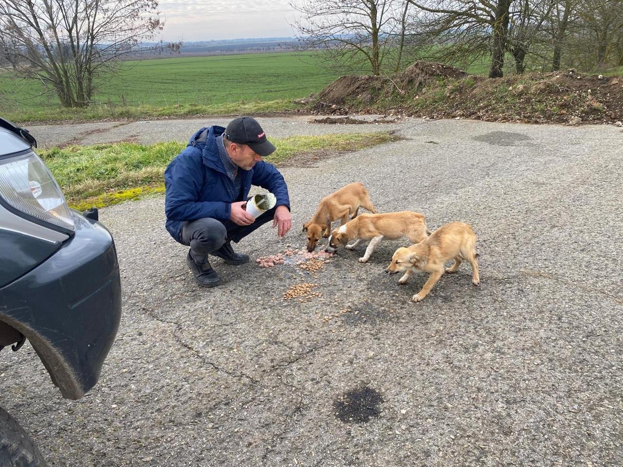 Hond zoekt baasje