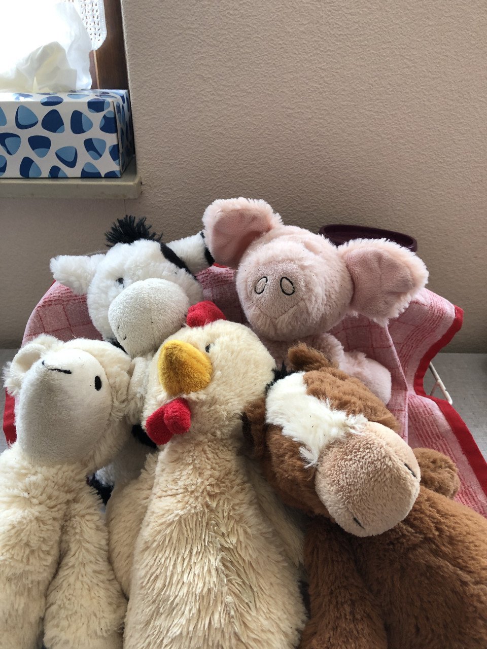 Koe, Varken, Kip, Paard, Schaap (  5  pluche dieren knuffels )