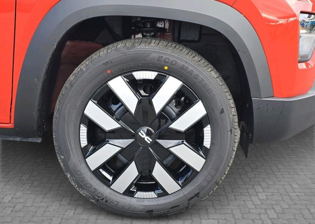 Dacia Spring expression 65 - dc lader 30 kwh