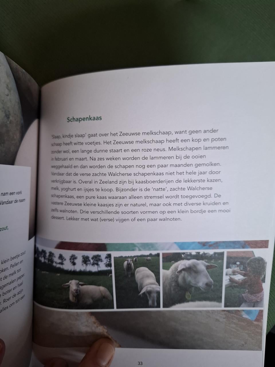 Smaak van Zeeland, recepten met Zeeuwse streekproducten, door T. Sluijter