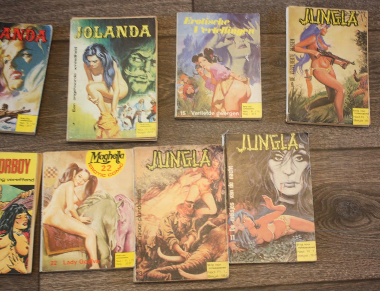 Erotische strips-zeer grote partij