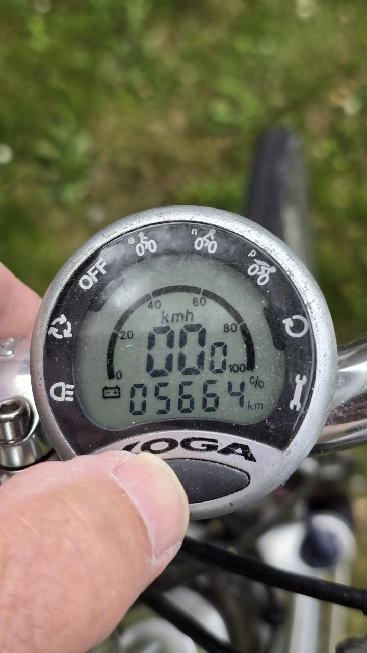 Koga Miyata Tesla e-bike