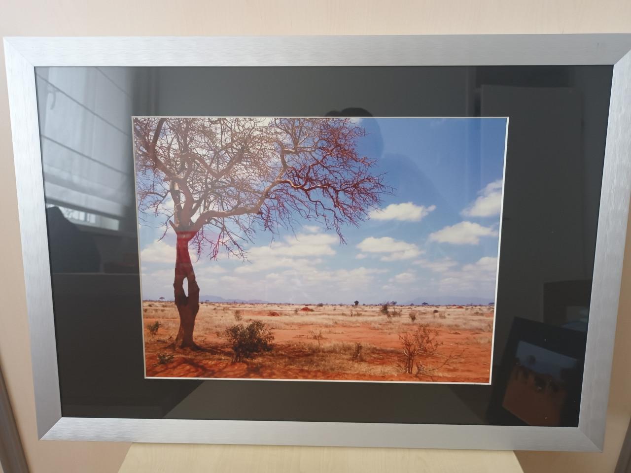 Twee foto's uit Kenia Afrika in lijst