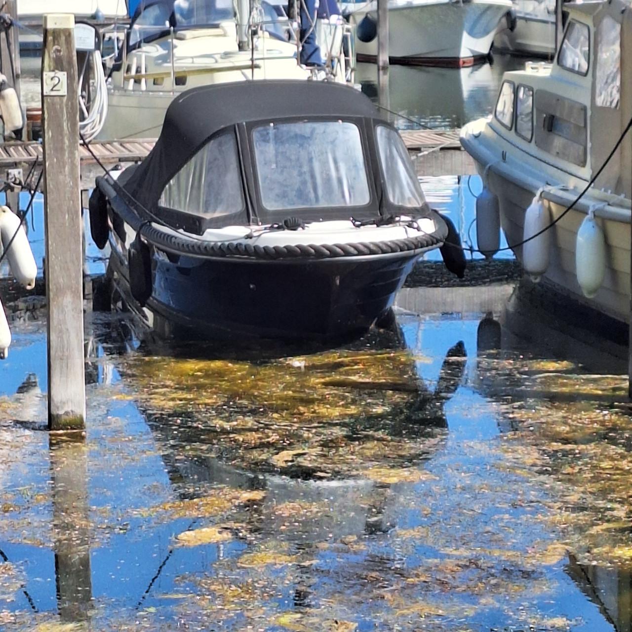 Mooie sloep - vaarklaar - inclusief trailer