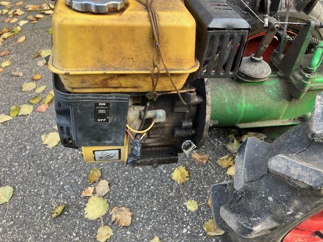 Tuinfrees met een klein beetje werk