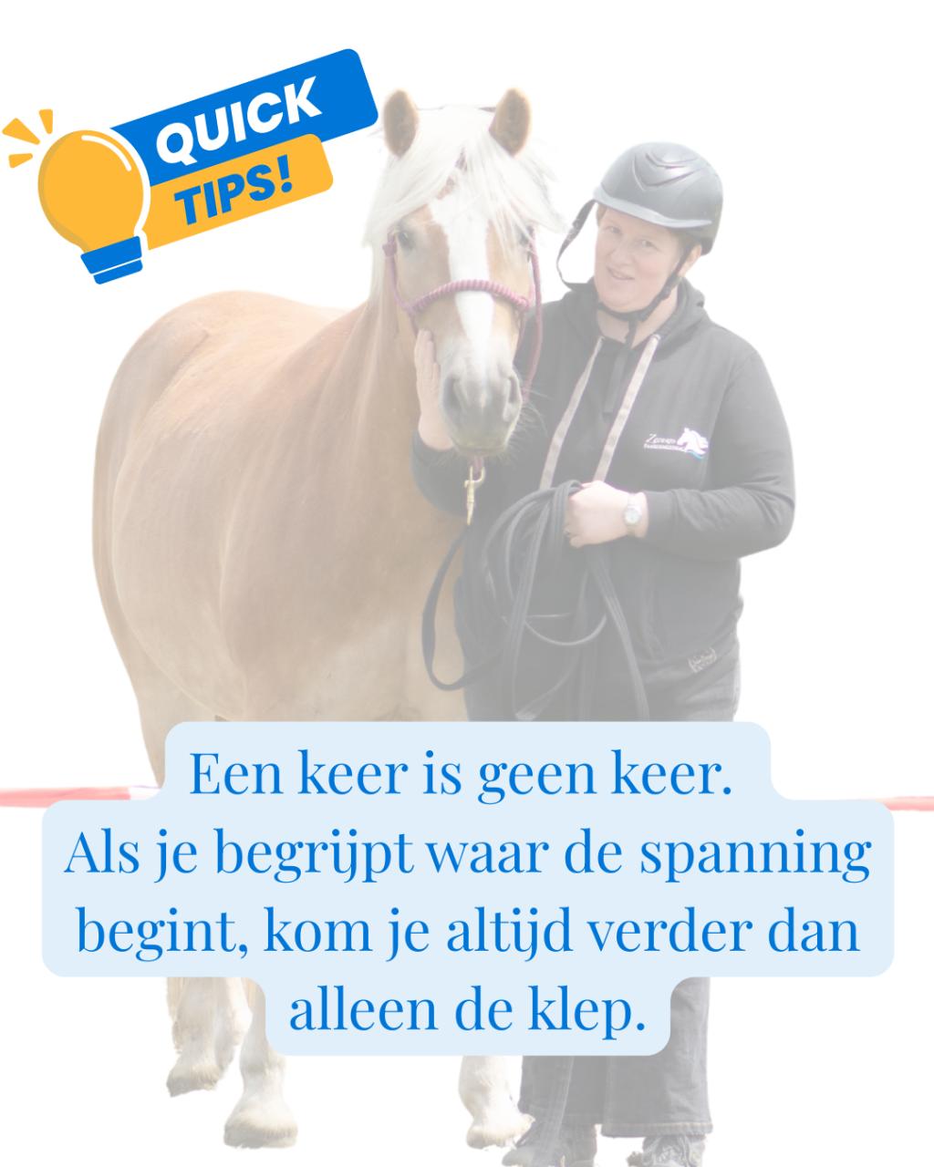 Ze vroeg om een paardentrainer, ze kreeg een coach voor zichzelf