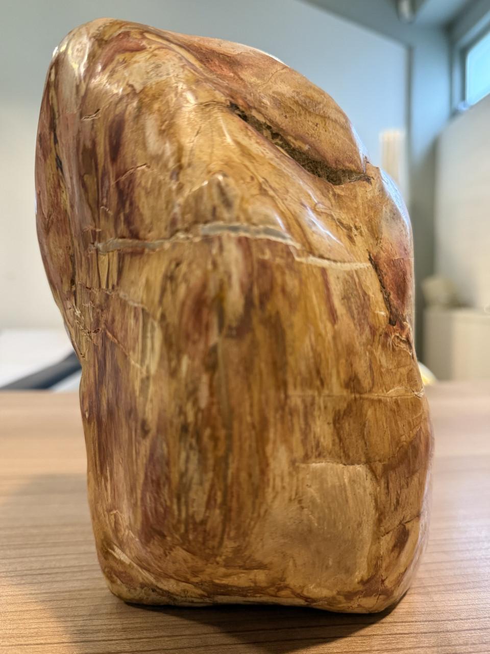 Mineralen: versteend hout