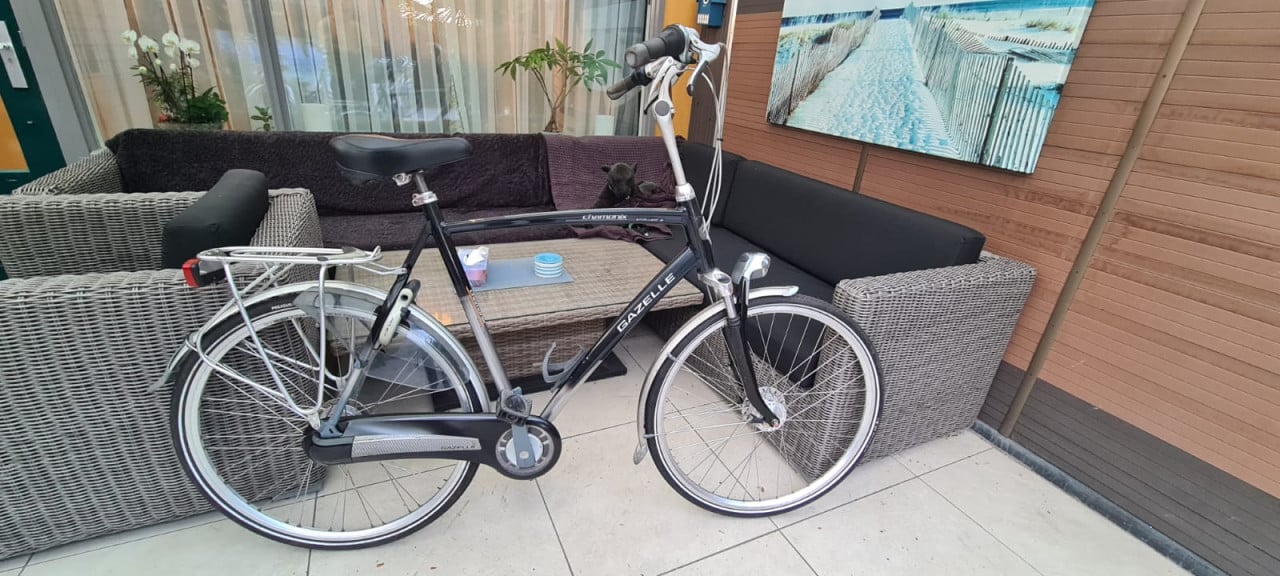 Gazelle Chamonix Excellent 65 cm