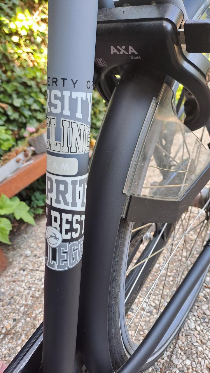 Gazelle Esprit herenfiets  3 versnellingen.