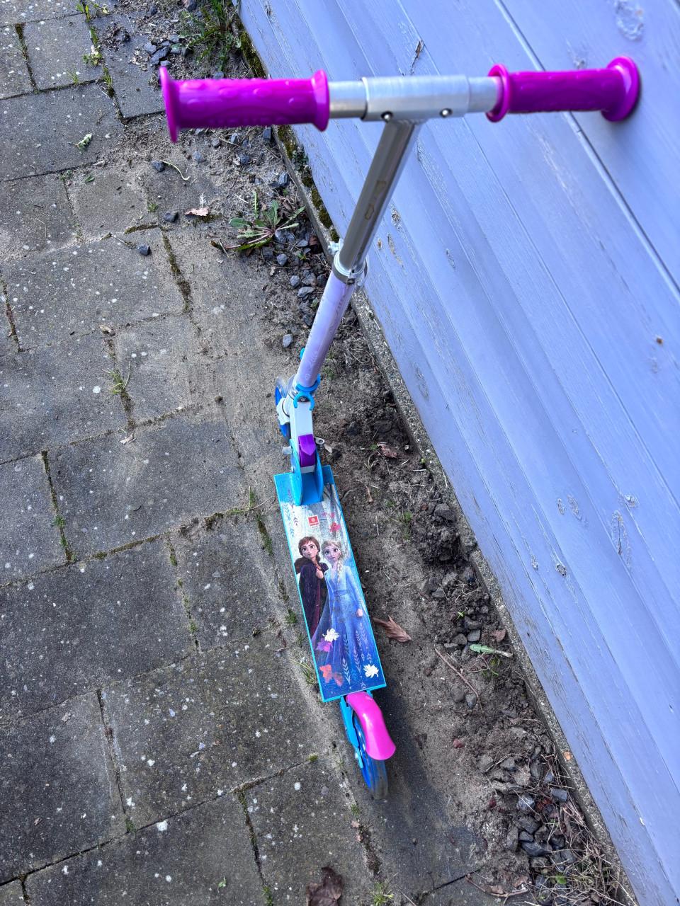 Stepje Frozen Elsa