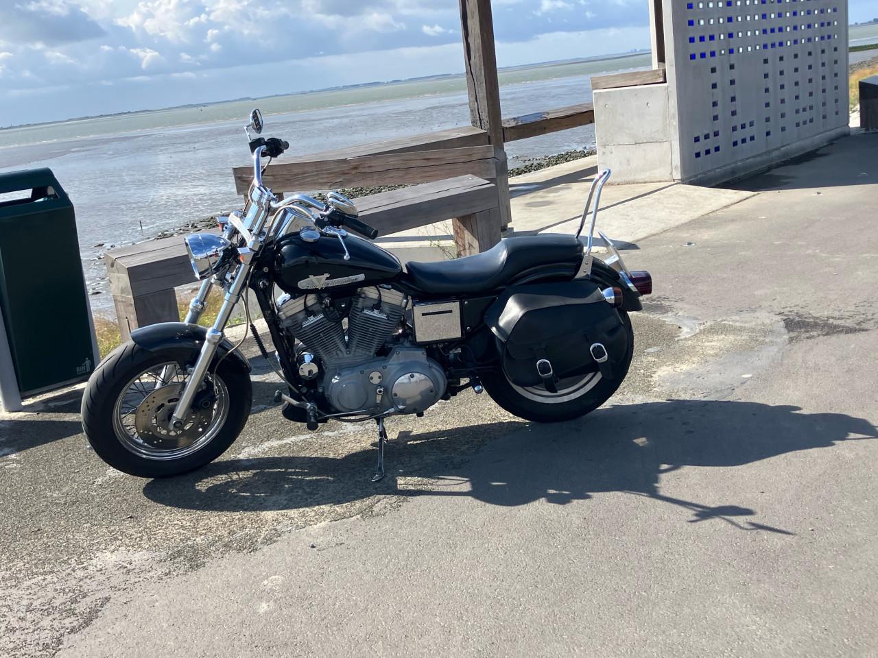 Harley Davidson Sportster 883