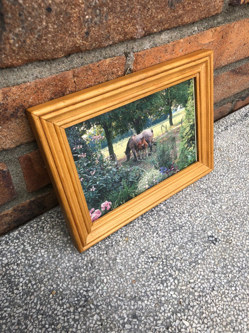 Leuk lijstje met paarden.
