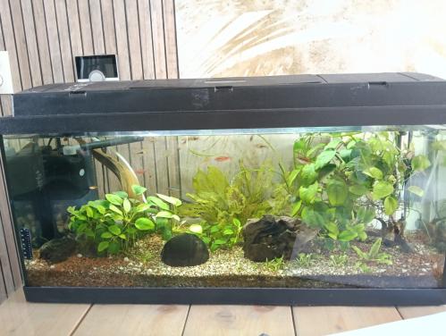Aquarium