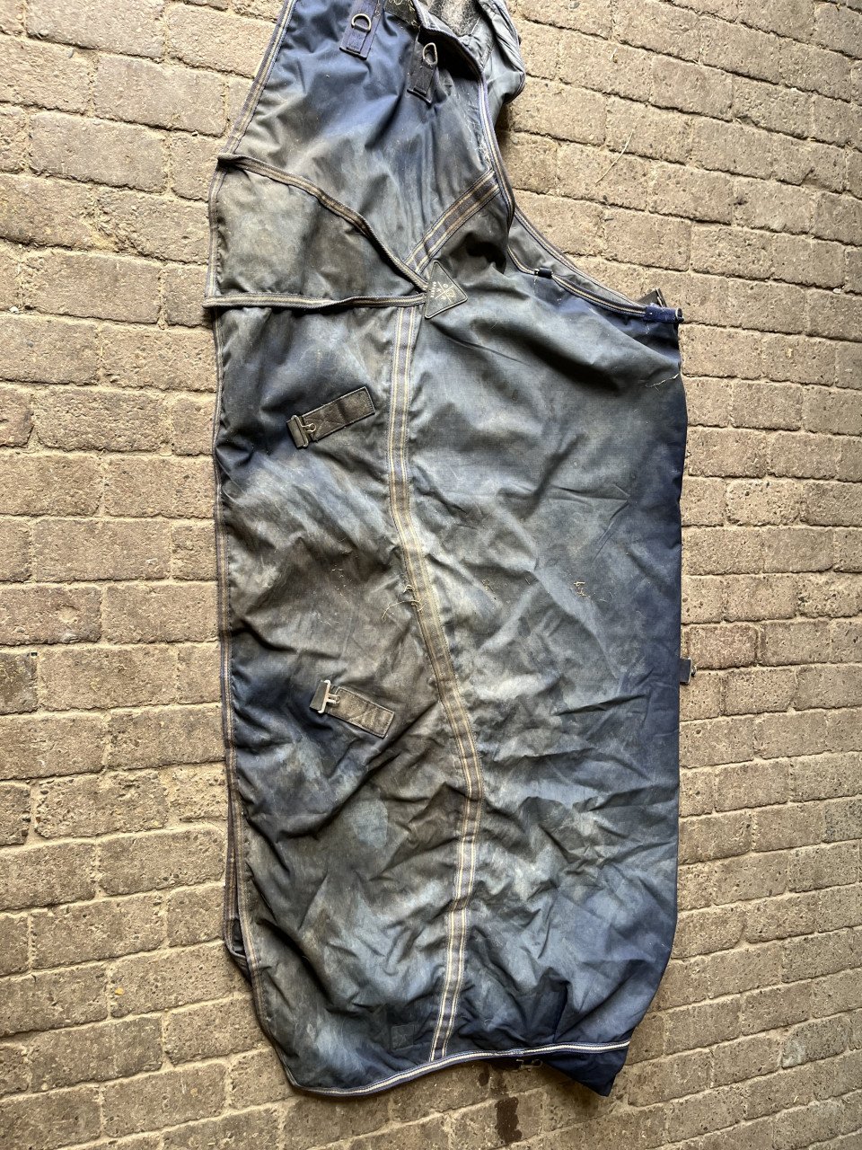 Bigneck regendeken 205