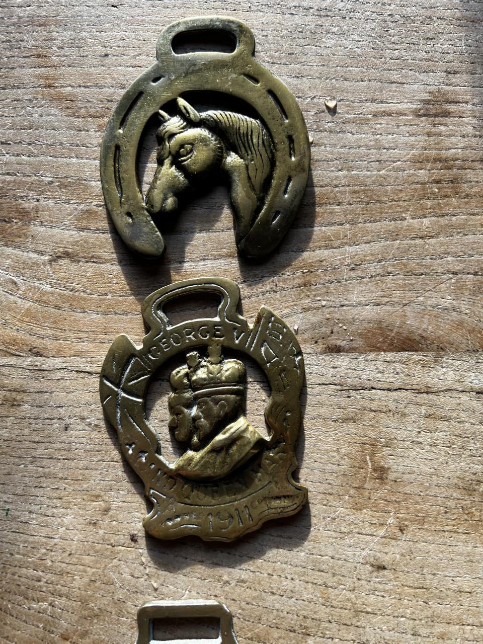 WIE WEET WAT DIT  voor hangers zijn?