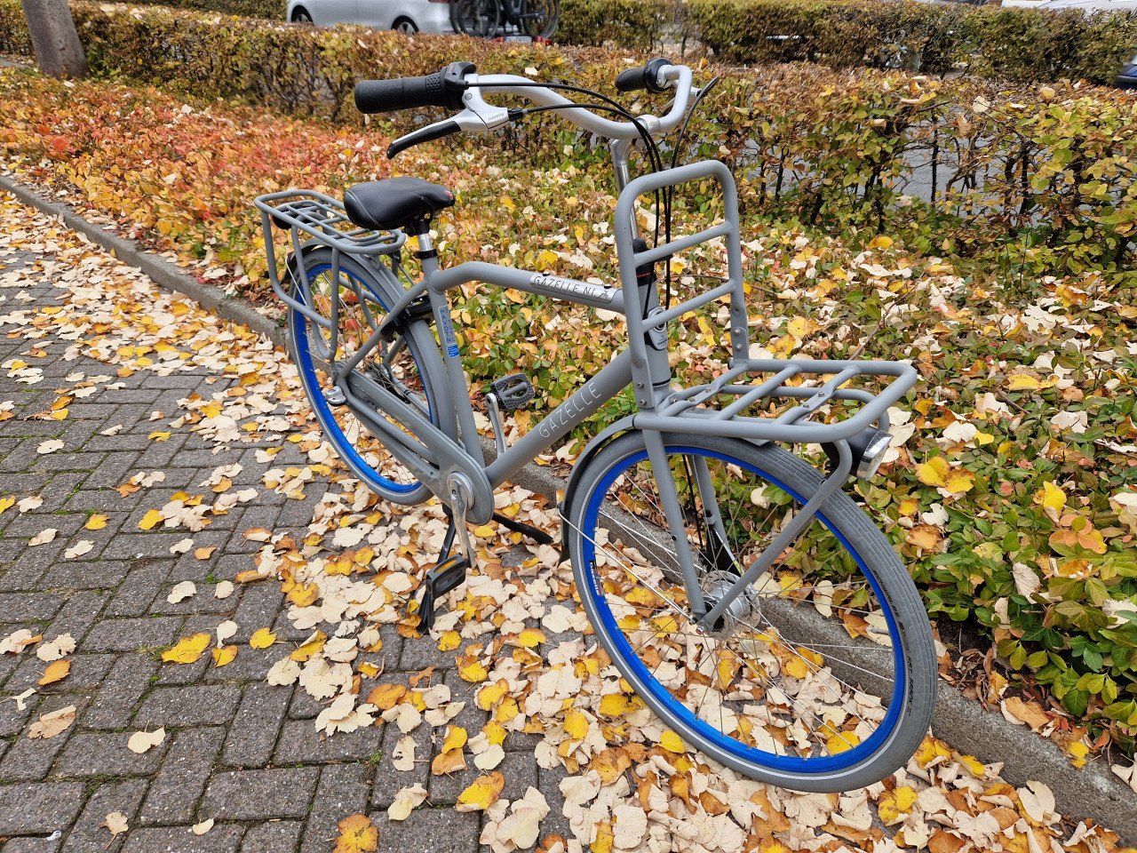 Gazelle Heavy Duty heren fiets