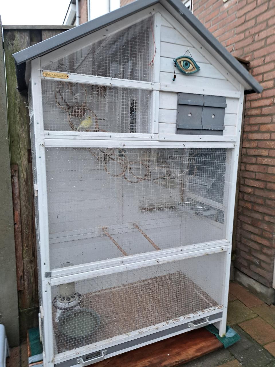 Voliére  Sarah Large