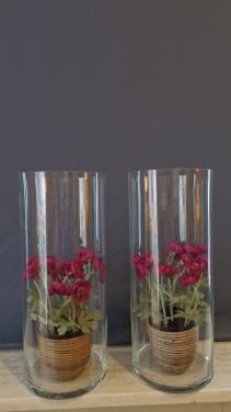 Heel mooie, grote cilinder glazen vazen (50 cm. hoog)