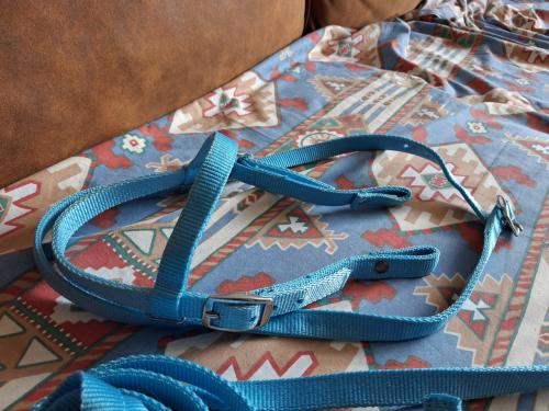Pony hoofdstel western met teugels