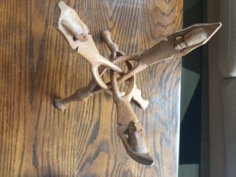 Afrikaanse Schalen Drager