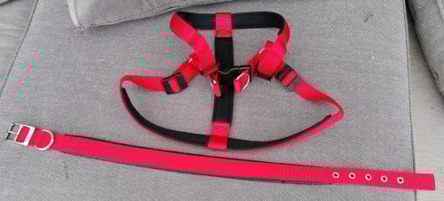Halsband en tuig