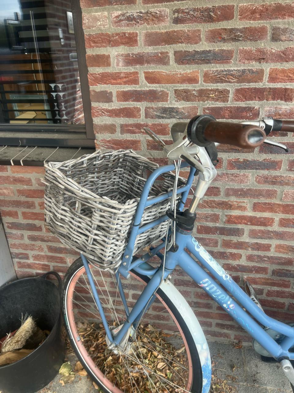 Meidenfiets miss grace 49 cm