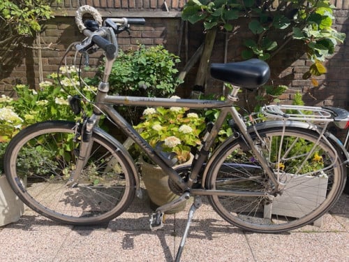 Gazelle Medeo Trekking