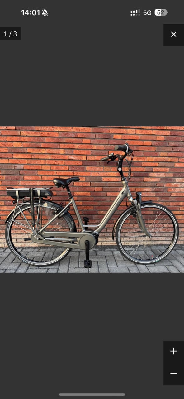 Prachtige Batavus Wayz Ego Bosch Active Line