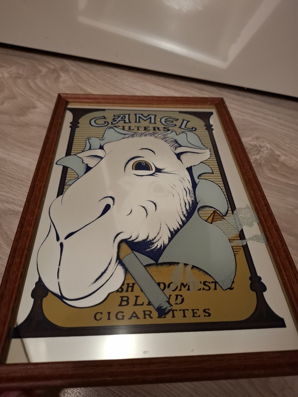 Camel spiegel