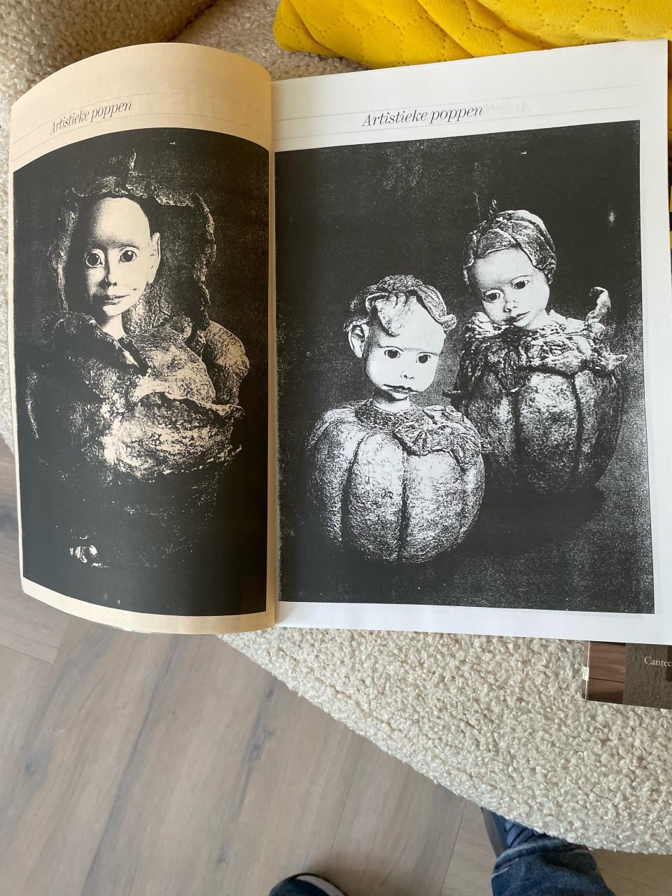 Poppen boeken leuke hobby
