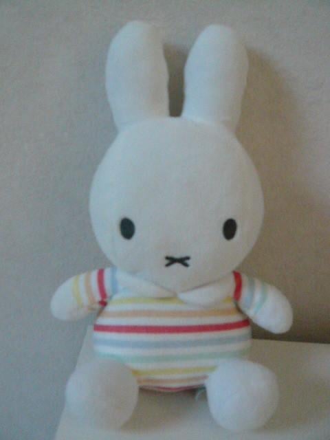 NIEUWE NIJNTJE MET BELLETJE IN ZIJN BUIK