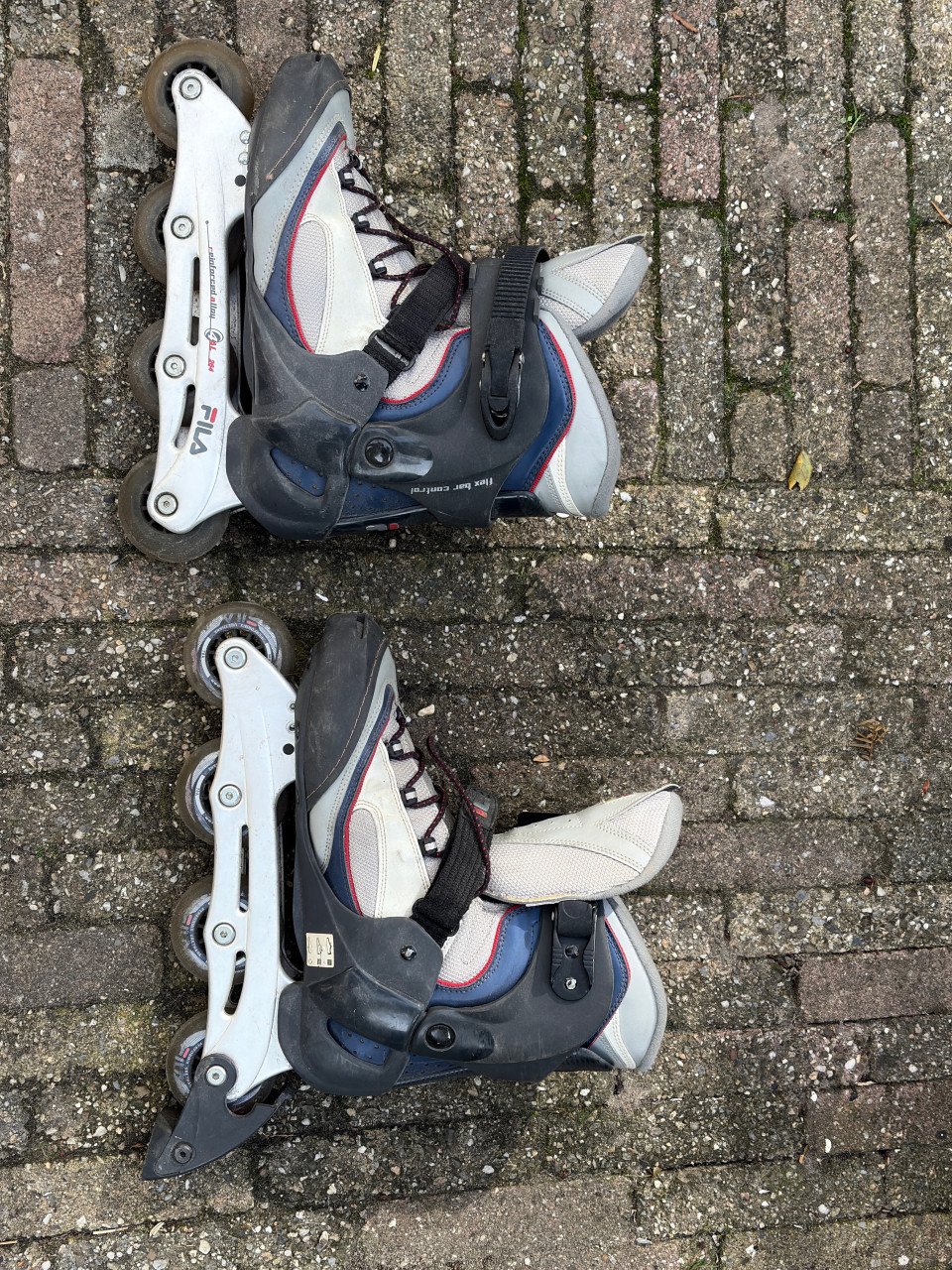Skeelers