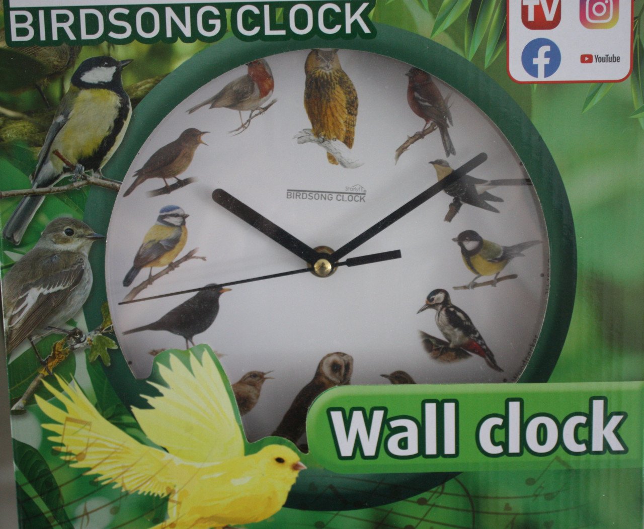 Nieuw in verpakking Birdsong Clock - Klok met Vogelgeluiden elk uur - Groen