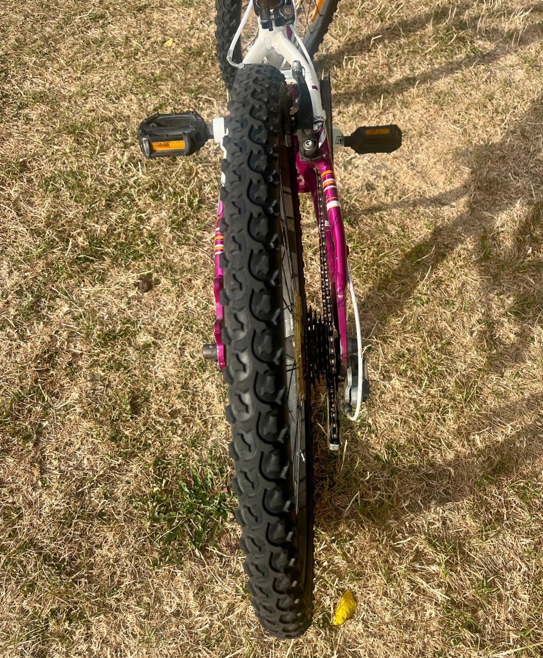Scott kinder mtb 24 inch