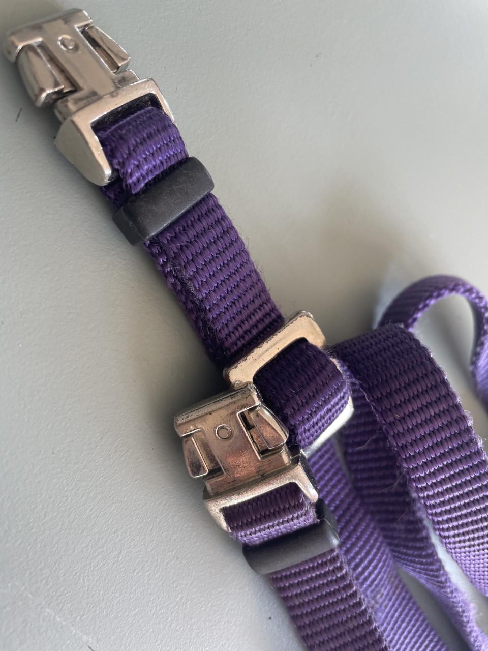 ZGAN HUNTER Kleine hond/Puppy bandjes plus Lijn IZGS!!