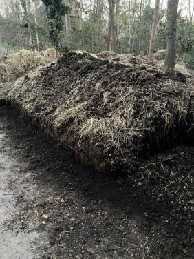 Gratis paardenmest voor de moestuin