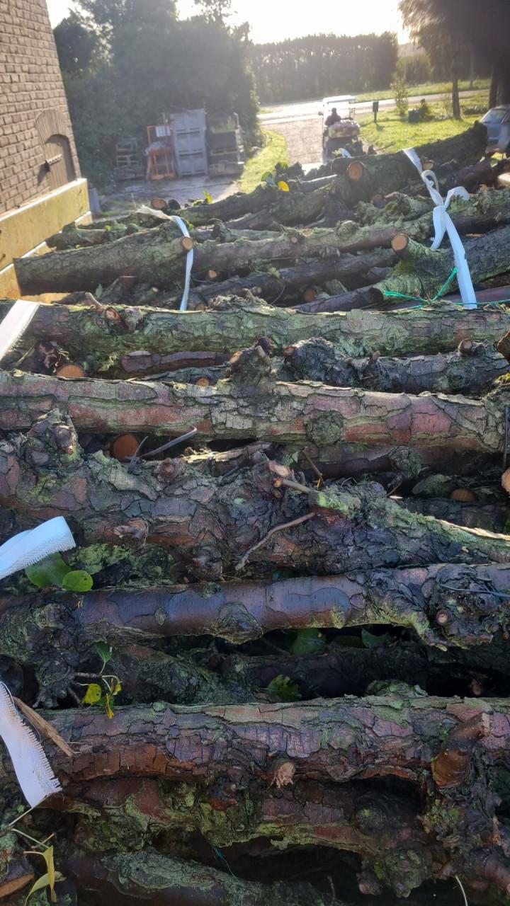 Openhaard hout/ fruitstammen perenhout