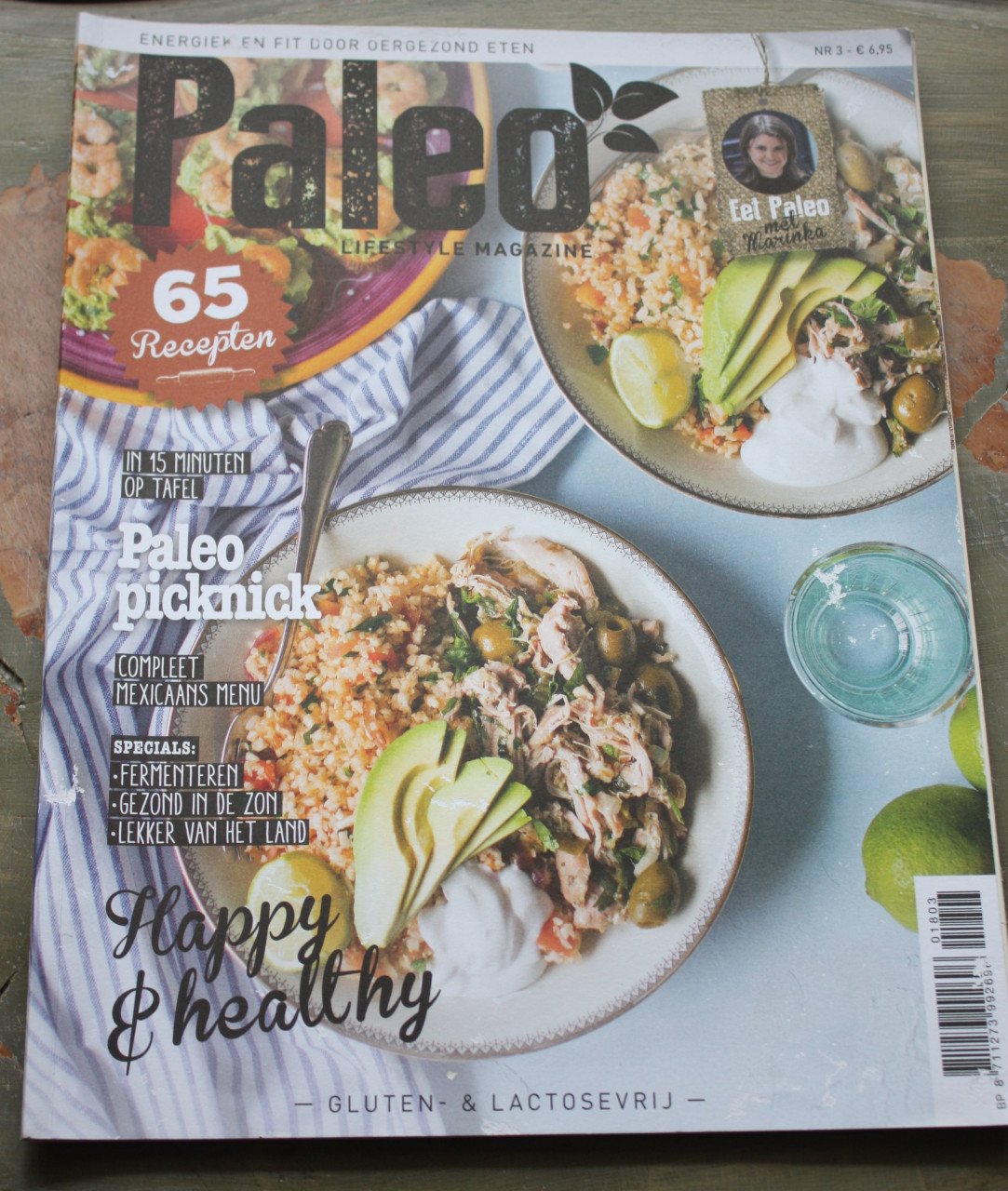 Paleo nr3